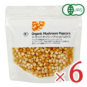 y}\!ő2000~OFFN[|zz!zi`Lb` I[KjbN |bvR[ }bV[^Cv 250g × 6 L@JAS