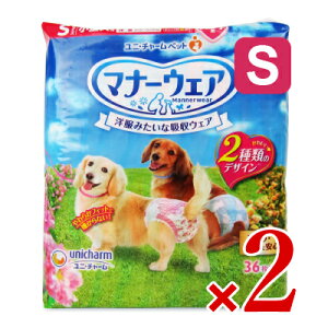 y}\!ő2000~OFFN[|zz!zstjE`[ }i[EFA ʗp ̎q STCY 36 × 2