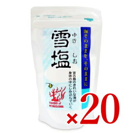 【マラソン限定！最大2200円OFFクーポン配布中】《送料無料》パラダイスプラン 雪塩 120g × 20袋