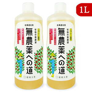 y34Ԍ!!ő2000~OFFN[|zz!! zstP _ւ̓ 1L × 2{ l֗p