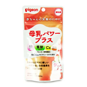 sW Pigeon p[vX 90i܁j h{@\Hi [ S ]