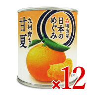 【マラソン限定クーポン配布中】《送料無料》明治屋 日本のめぐみ 甘夏 缶 L　210g×12個 【 まとめ買い …