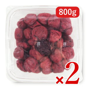 stC̐ ʍ͔| gʔ~ 800g × 2