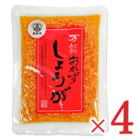 四国健商 万能おかずしょうが 130g × 4袋 高知県産生姜