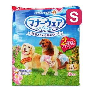 s34Ԍő2000~OFFtjE`[ }i[EFA ʗp ̎q STCY 36