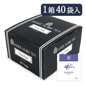 yC[OXӍՌ!!ő2000~OFFN[|zz!! zO_ zCgm[u _[W eB[obO 40ܓ WN g