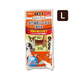 styeBI Vp s⏕n[lX 㑫pK LTCY