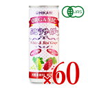 【マラソン限定!最大2000円OFFクーポン配布中!】《送料無料》光食品 オーガニック ぶどうサイダー＋レモン 250ml×60本 有機JAS