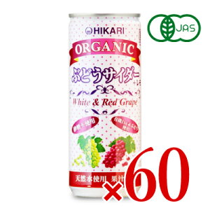 stHi I[KjbN ԂǂTC_[{ 250ml×60{ L@JAS