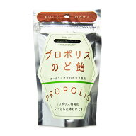 《賞味期限間近のお試し価格》クインビーガーデン プロポリスのど飴 40g《返品・交換不可》《賞味期限202…