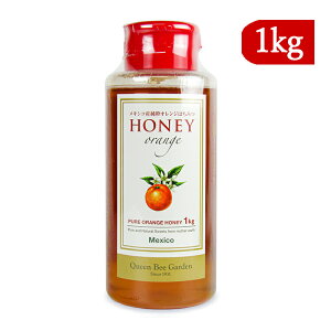 y}\!ő2000~OFFN[|zz!zstNCr[K[f LVRY IW݂͂ 1kg