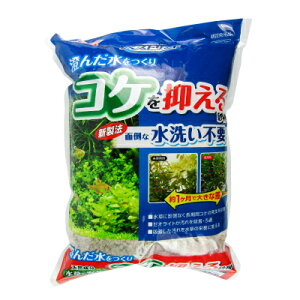 y}\!ő2000~OFFN[|zz!zWFbNX xXgTh 3L