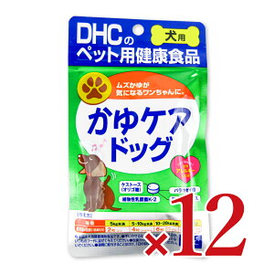 yX[p[SALE!ő2000~OFFN[|zz!zstDHC PAhbO60 × 12