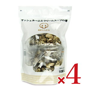 stM`}bV[ }bV[ƃN[X[v̑f10H × 4