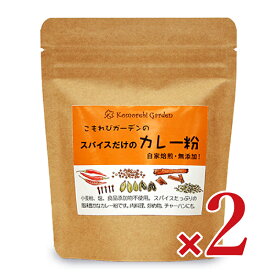 【マラソン限定!最大2000円OFFクーポン配布中!】こもれびガーデン スパイスだけのカレー粉 90g × 2袋