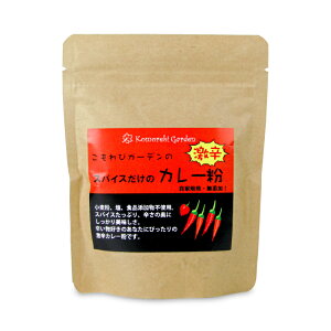 yX[p[SALE!ő2000~OFFN[|zz!zуK[f XpCX̌hJ[ 90g