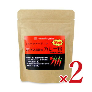 yX[p[SALE!ő2000~OFFN[|zz!zуK[f XpCX̌hJ[ 90g × 2