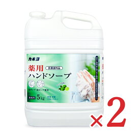 医薬部外品 カネヨ石鹸 薬用 ハンドソープ 5kg×2個 泡ポンプ・液ポンプ兼用 シトラスの香り 【 まとめ買い 】