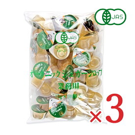 《送料無料》サクラ食品工業 オーガニック シュガーシロップ 業務用 15g×50個 ×3袋 有機JAS【まとめ買い】