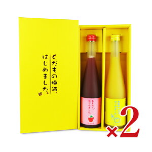 【マラソン限定!最大2000円OFFクーポン配布中!】《送料無料》篠崎 あまおう梅酒・ゆず梅酒セット AM-YS 500ml×2本 × 2箱