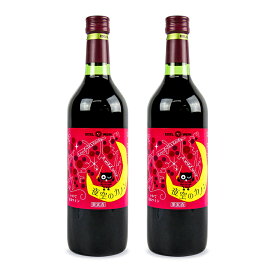 《送料無料》エーデルワイン 夜空のカノン 赤ワイン 甘口 720ml × 2本 日本ワイン
