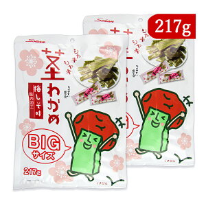 s s킩 ~ BIGTCY 217g × 2