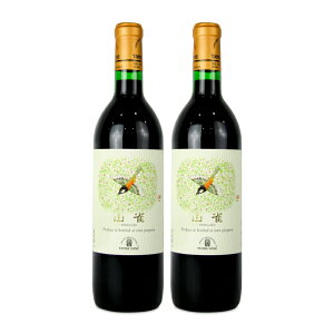 yX[p[SALE!ő2000~OFFN[|zz!zstOgC R  720ml × 2{