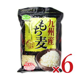 石橋工業 九州産もち麦 800g × 6袋