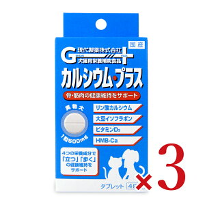 【マラソン限定!最大2000円OFFクーポン配布中!】ゲンダイ (GENDAI) 現代製薬 カルシウム・プラス 48粒 × 3箱