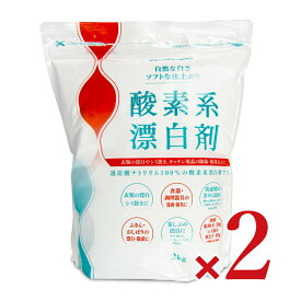 【マラソン限定クーポン配布中】《送料無料》地の塩社 酸素系漂白剤 2kg × 2袋 【 まとめ買い 】