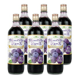 【マラソン限定!最大2000円OFFクーポン配布中!】《送料無料》野田ハニー ブルーベリー100%ジュース 720ml × 6本《2025s_drink》
