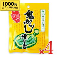 《1000円ポッキリ》山清 鬼からしの素きゅうり用 90g × 4袋