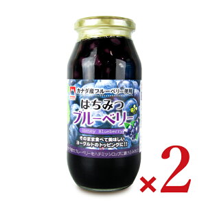 yX[p[SALE!ő2000~OFFN[|zz!zI{ ݂͂u[x[ 650g × 2{