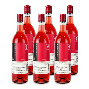 y}\!ő2000~OFFN[|zz!zstrcuhEEuhE \C p[C 720ml × 6{