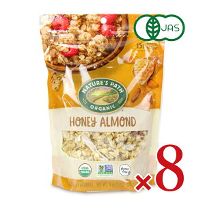 sܖԋ߂̂itstlC`[Y p[X I[KjbN nj[A[hOm[ 312g × 8 L@JAS P[X̔sԕiEstsܖ2026N211t