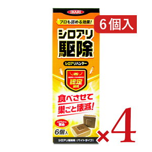 y34Ԍ!!ő2000~OFFN[|zz!! zstCJ VAn^[ 6 × 4