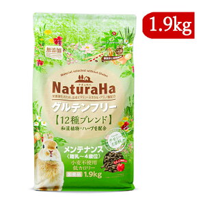 yubNtCf[!ő2000~OFFN[|zz!z}J i`n Oet[ 12uh rbg eiX p 1.9kg [4Έ ybgt[h