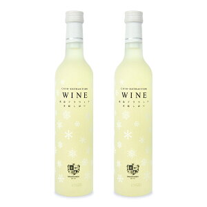 stCi[ C fEFA Xڂ 500ml×2{  ɊÌ