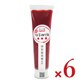 海の精 国産特栽・紅玉ねり梅（チューブ）100g × 6個