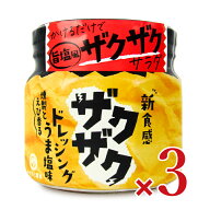【マラソン限定クーポン配布中】《送料無料》安本産業 ザクザクドレうま塩味 170ml × 3個【 調味料 えび…