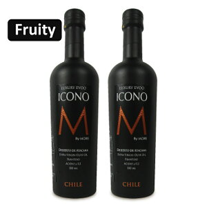 yubNtCf[!ő2000~OFFN[|zz!zstGLXgo[W I[uIC t[eB[ ICONO(ACRm) 500ml × 2{ by MORE Chile [}CX^FN]