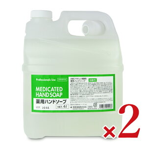 stF t@[}ANgp_nh\[vl֗p 4L × 2 򕔊Oi