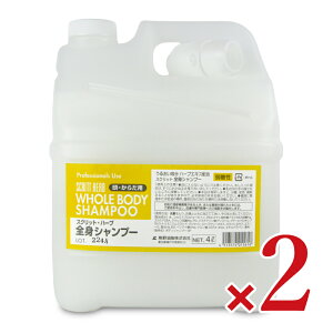 s34Ԍő2000~OFFtstF XNbgSgVv[i_jl֗p 4L × 2