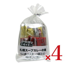 【マラソン限定クーポン配布中】ソラチ 札幌スープカレーの素（辛味の素付）5P 175g × 4袋【まとめ買い】