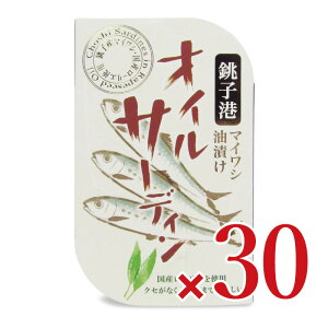 �s���������t��t�Y�� �I�C���T�[�f�B�� 100g×30�@�P�[�X�̔�