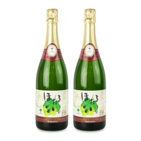 【マラソン限定クーポン配布中】《送料無料》岩手くずまきワイン 葛巻ワイン ほたる スパークリング 白 750ml × 2本 ／ まとめ買い