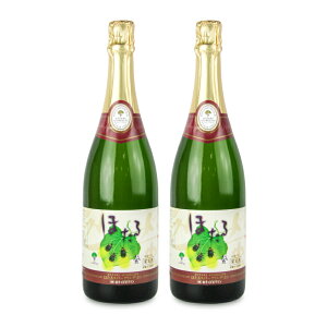 y}\!ő2000~OFFN[|zz!zst肭܂C C ق Xp[NO  750ml × 2{