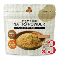 《送料無料》加豆フーズ サラサラ菌活NATTO POWDER 45g × 3袋 【 まとめ買い 】