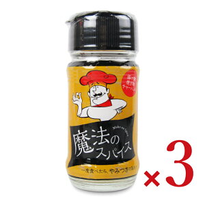 【マラソン限定!最大2000円OFFクーポン配布中!】ファインフーズジャパン 魔法のスパイス 40g × 3個