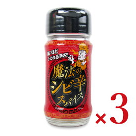 【マラソン限定クーポン配布中】ファインフーズジャパン 魔法のシビ辛スパイス 30g × 3個 ／ まとめ買い